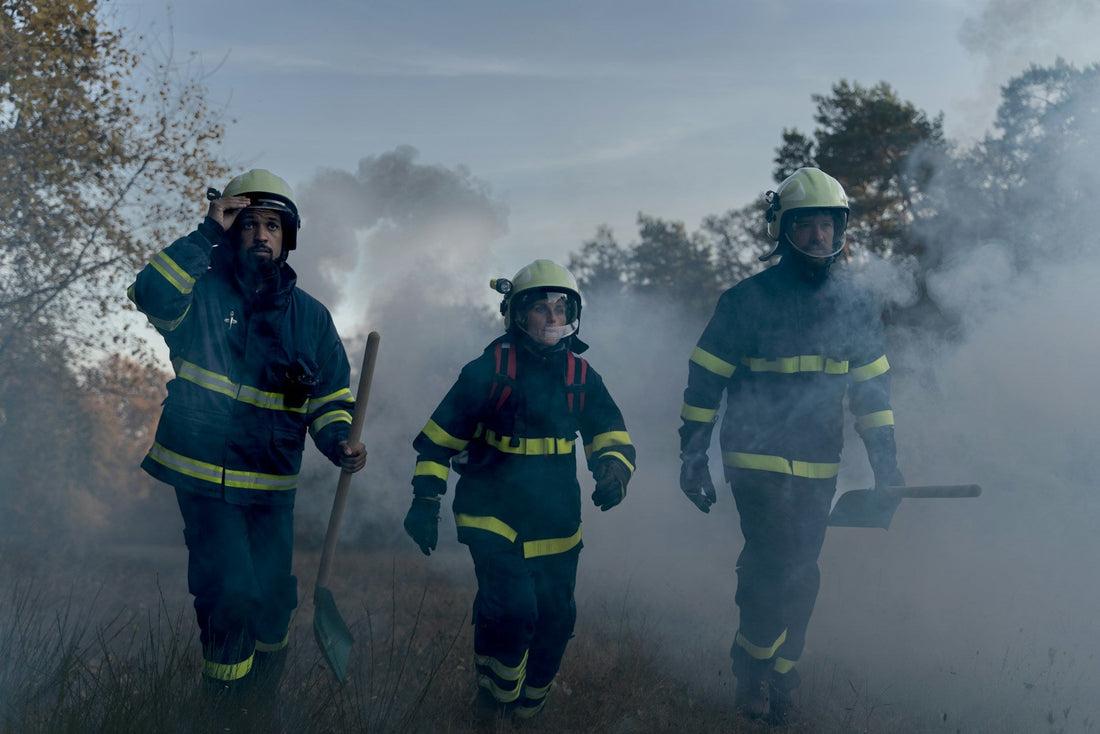 emergency management